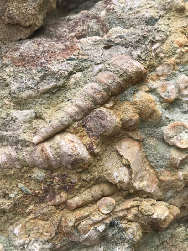 Cabalgata ruta geológica - Imagen 8