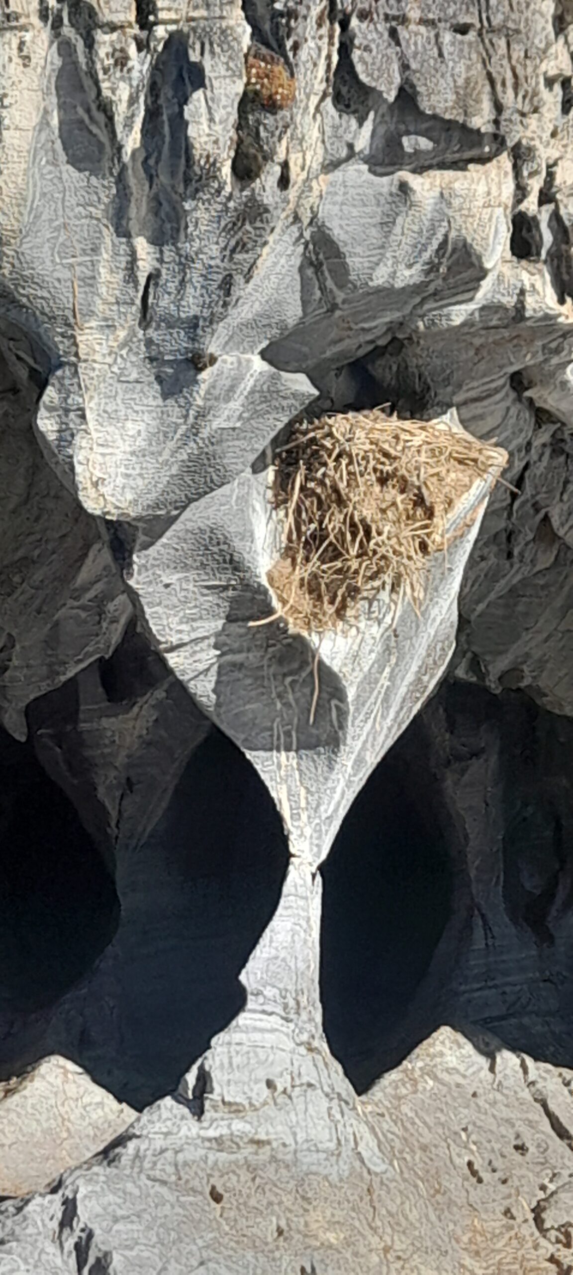 Full mármol - Imagen 8